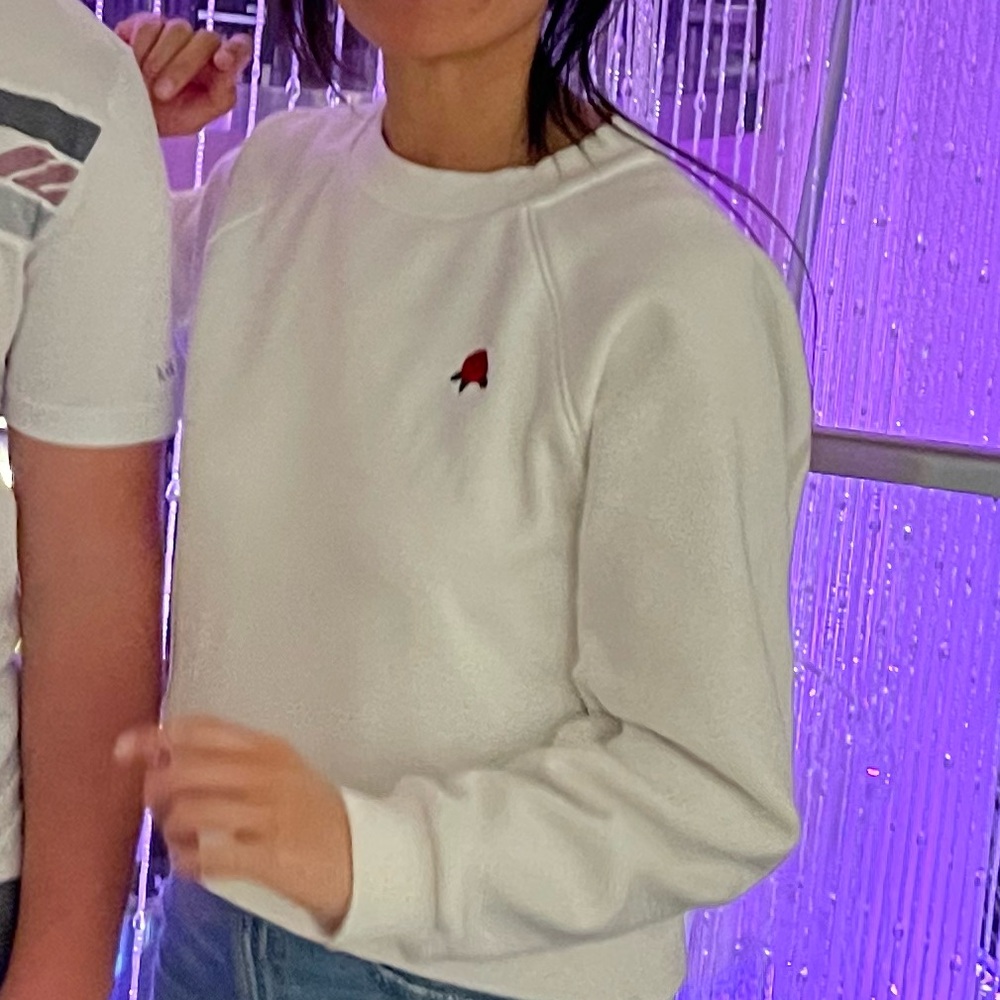 ARITZIA | Sunday Best Elle Sweater Sweatshirt Crop White Red Rose 🌹 XS